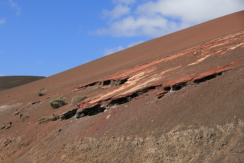 Kanary_2010 054